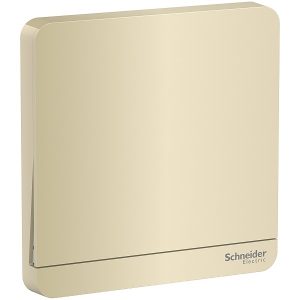 Bộ công tắc đơn 2 cực 45A màu vàng E8331D45N_WG_G19 Schneider