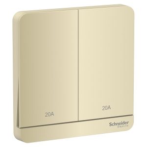 Bộ công tắc đôi 2 cực 20A màu vàng E8332D20N_WG_G19 Schneider