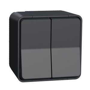 Bộ công tắc đôi 2 chiều 10AX MUR35022 Schneider