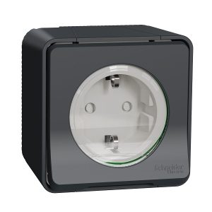 Ổ cắm đơn 16A 2P+E MUR36034 Schneider
