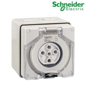 Ổ cắm có đế 5P 500V IP66 S56SO520GY Schneider