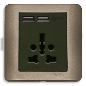 Bộ ổ cắm đa năng và sạc USB đôi màu đồng E8442616USB_SZ_G19 Schneider