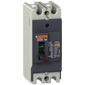 MCCB 2P 100A 50kA EZC100H2100 Schneider